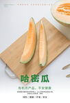 哈密瓜海报 