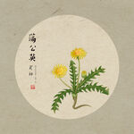 手绘蒲公英