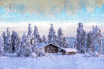 冬季雪景雪松房子手绘仿油画背景