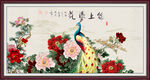 孔雀图