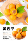 黄杏子海报 