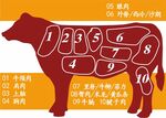 牛的分解图