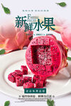 火龙果海报 