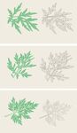 艾叶艾草矢量图