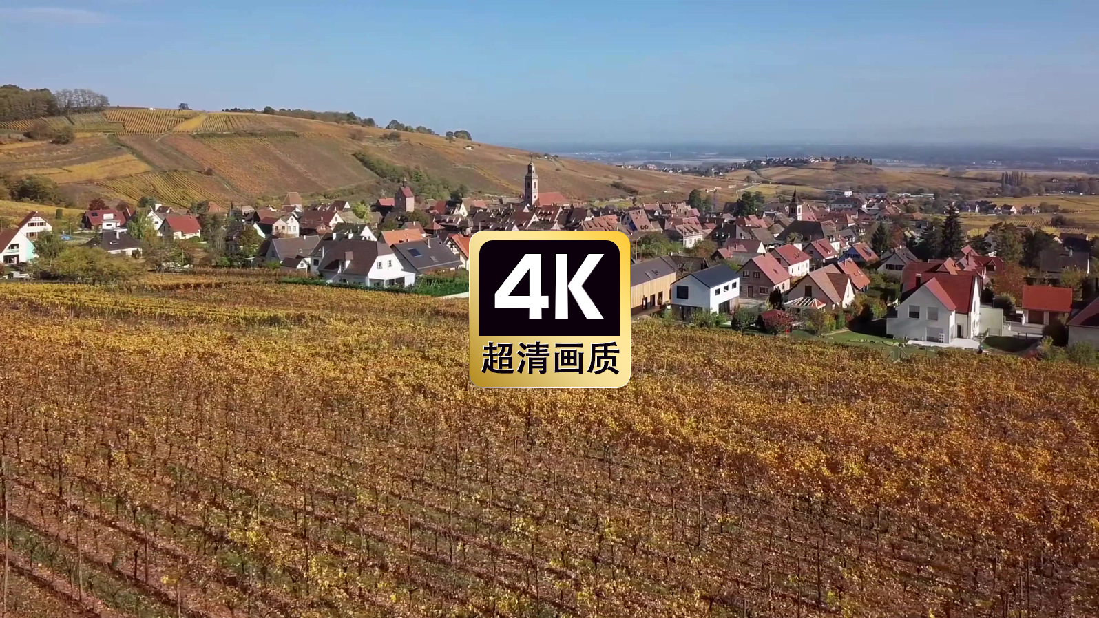 短视频素材航拍葡萄庄园村庄建筑