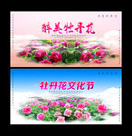 牡丹花