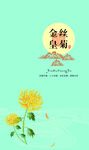 金丝皇菊礼盒