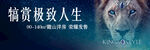 狮子 王者 音乐海报 动物园 