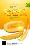 哈密瓜