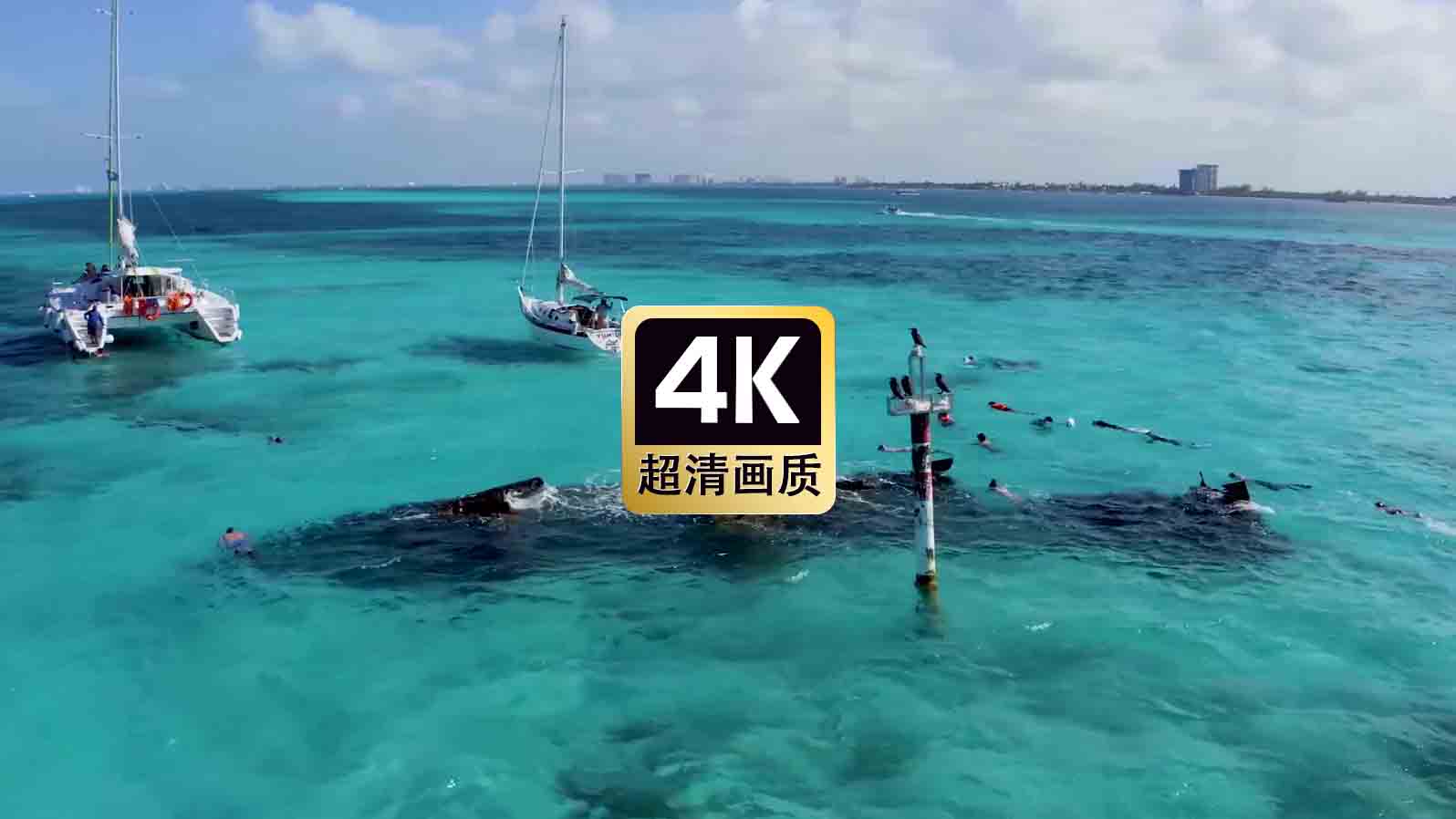 短视频素材碧海游艇游泳的人