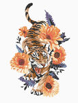 老虎花