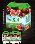 无花果包装设计