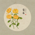 手绘菊花