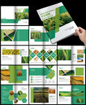 水稻农田绿色农产品农业种植画册