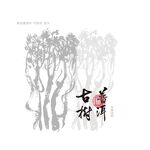 古树普洱茶