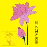 手绘莲花 