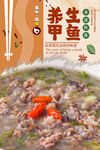 甲鱼煲