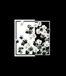 大牌 方巾 手绘 灰色花