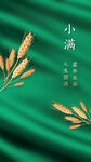 小满24节气绿色小麦简约海报