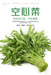 空心菜海报