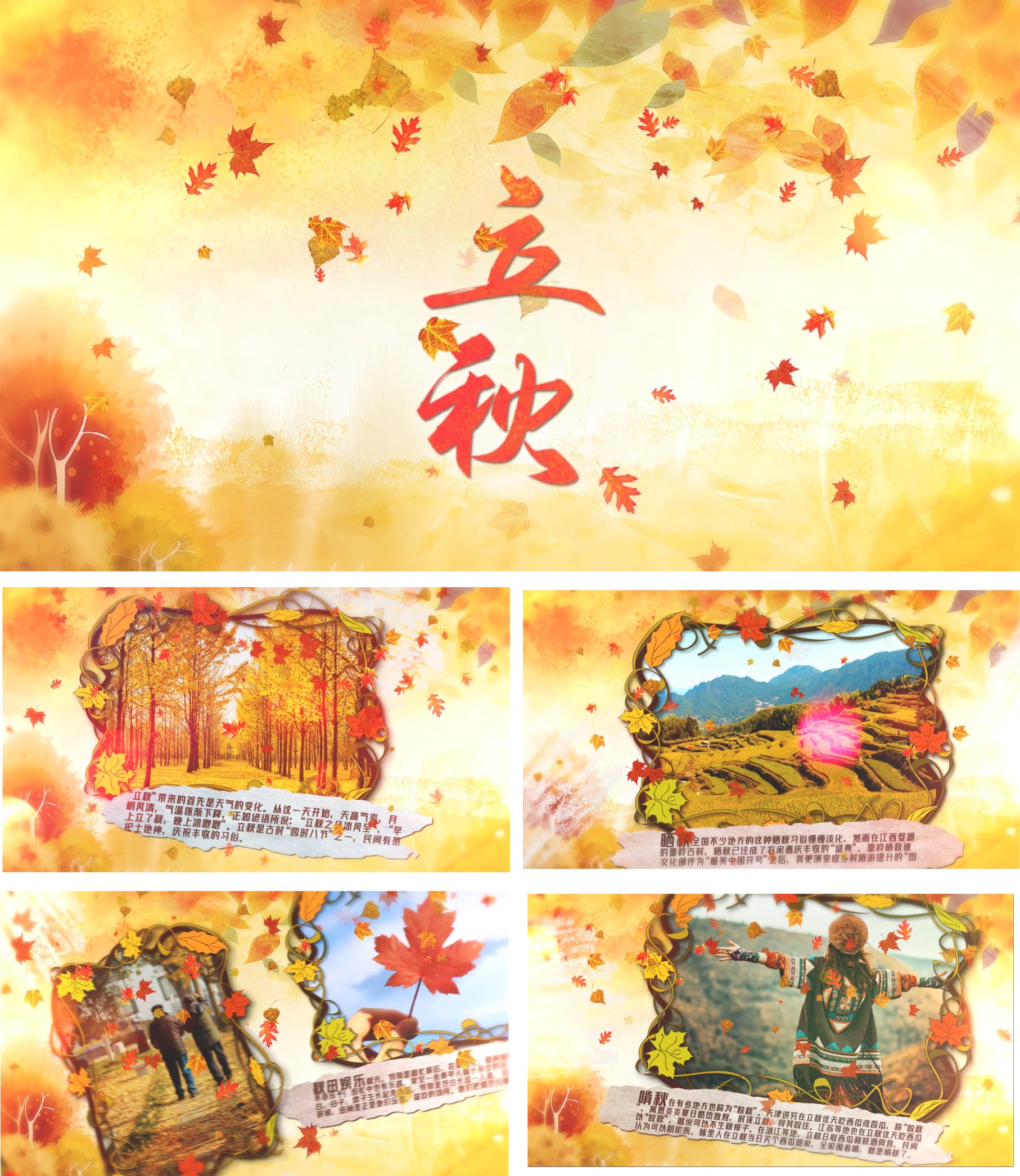 清新二十四节气之立秋图文相册