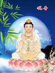 观音菩萨画像