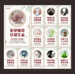 禁烟海报