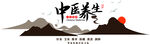 中医养生 中药馆背景  立体背
