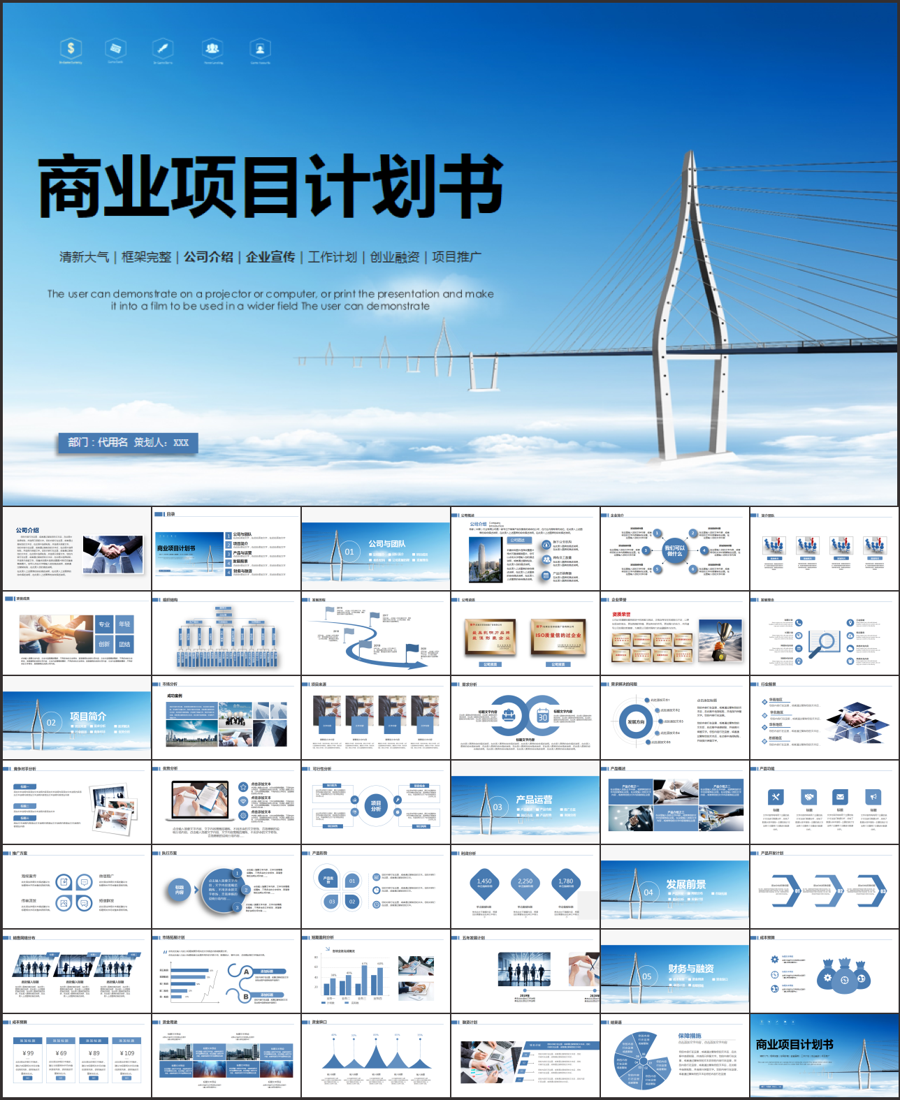 商业项目计划书PPT