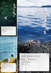 海报板式 