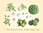 新鲜莲蓬莲子