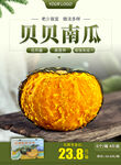 贝贝南瓜图片