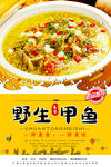 甲鱼煲