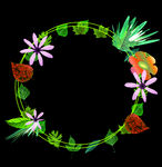 花边边框
