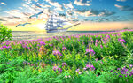 花海沙滩背景墙