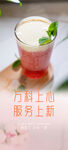 草莓西瓜水果酸奶奶昔冰淇淋饮品