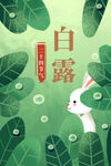 白露插画