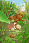 白露插画