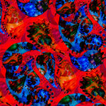 大牌 抽象花 腰果