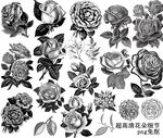 复古素描花卉
