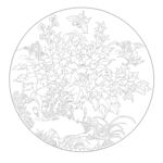 牡丹