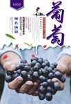 葡萄