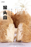 猴头菇海报 