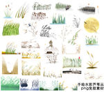 手绘水彩芦苇丛