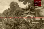 福州左海公园