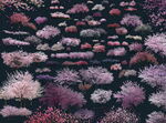 樱花合集