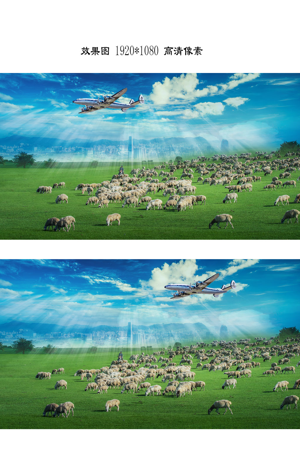 草原背景视频图片大全,草原背景视频设计素材,草原背景视频模板下载 