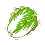 矢量白菜
