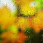 落在窗户玻璃上的雨点水珠