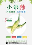 小米辣海报